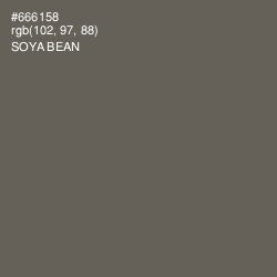 #666158 - Soya Bean Color Image